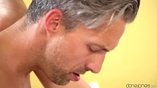 Leanne Lace's Czech Beauty in Silver Fox Romance