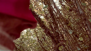 In the Woods Again