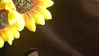 Sneezing Fit in the Car My Plastic Flower Allergy Reaction