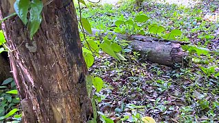 Amateur striptease and Solo masturbation