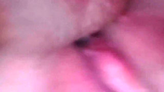 Fucking with New Bull in Doggy Style Without Condom