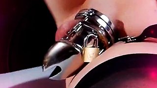 Tasty ladyboy with big tits poked anal