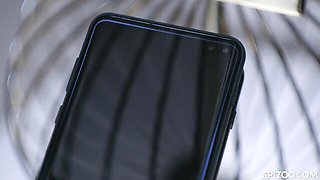 Watch dainty Michael Fly's trailer