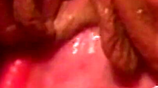 Seductive Brunette Gets Fingered and Fucked on the Couch