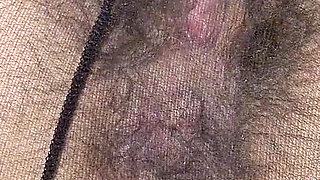 Open Wet Bush and Hairy Ass in Pantyhose (close-up) Facesitting POV