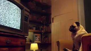 Amateur blonde teen sucks dick in hot pov blowjob sex tape