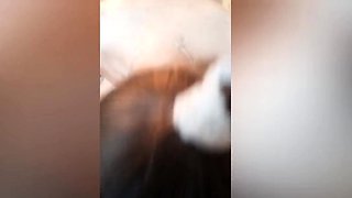 Small-Titted Celebs Sucking Big Cocks