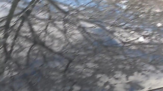 Life Porn Stories 6 - Part 1 Best Tits on the Road - Hot Car Sex & Face Shots