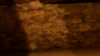 My Slave Walks Naked and Pees in the Streets and then I