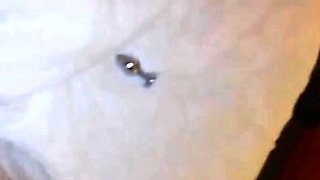 Interracial Anal Amateur Selfie