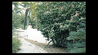 Unique European Beauties