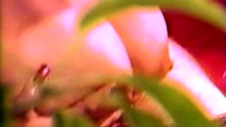 Blonde Amateur Banged Doggystyle