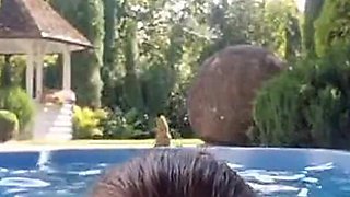 Flash Boobs in Outside Swimming Pool