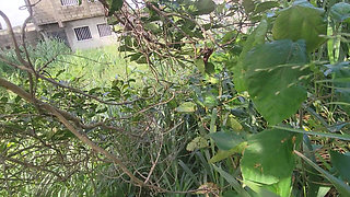 Two Lovers Traveling by Road Decided to Fuck in the Bush When There Bus Has Issued