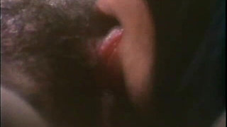 Classic Porn Dvds Plato's Retreat West Part 1