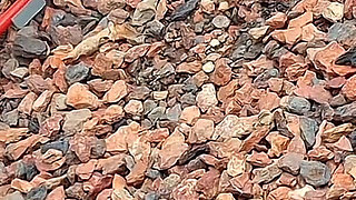 Essence Feet on Convention Center Blvd