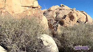 The Adventures of Lety Howl, Episode 12: Usa Road Trip