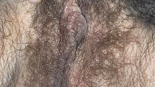 Hairy pussy