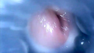 CD Mitch Inside Cum