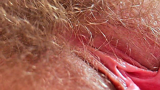 My Hairy Pussy Is Waiting