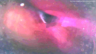 B014 Man Shrunk and Trapped in Woman's Vagina Pussy Swallowing