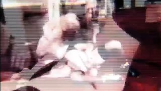 Gardner-s Teen Surprise