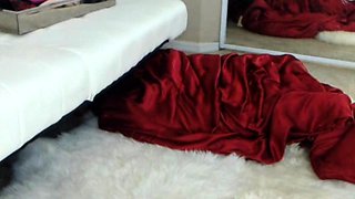 Amateur Webcam Fun With Toys