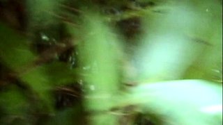 Fake agent fuck brunette amateur babe outdoor