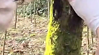 Sex in the Forest with Drake