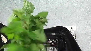 Nettle Punishment
