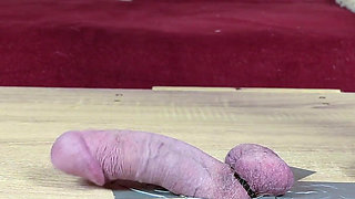 Cockbox CBT and Cock Trampling in Dirty Socks, Femdom Jozi Trample