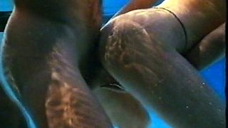 Free porn videos of blowjobs and group sex