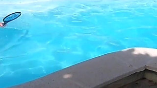 Anyone for Pool Tennis