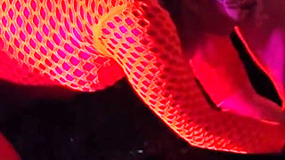 Glow Fisting - Fistdude POV