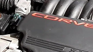 Corvette Revving Gets Her Motor Hot