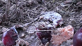 Dirty Femdom Crush and Masturbation