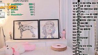 특이점이 온 할매핑두 빅파이BJ율이