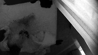 Amateur Hidden Cam Fuck On Couch