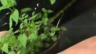 A Hardcore BDSM session