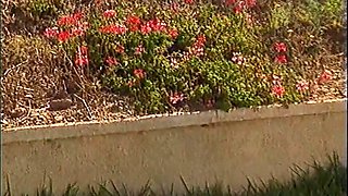 Ashlyn Gere & Sandi Beach FFM Threesome Orgy