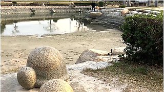 素人個人撮影巨乳熟女にヒタッと白シャツて/ノーフラ散歩露出オtニー潮吹き//流出/晒し/視姦　japanese/hentai/asian/milf/mom/big Tits/日本人/塾女/人妻