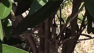 Auntjudys - Your Stepmom's Friend Maggie Moon Catches You Watching Her Sunbathing in the Back Yard