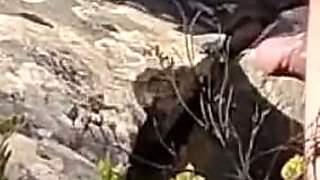 Moranguinho Dominated Outdoors 1