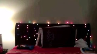 Two Brunettes, One Black Strapon