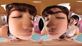 Bait And Switch Cat Cafe: No Felines, Yes Harem Sex