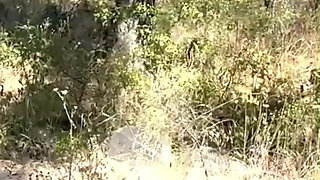 Punishing the Slave Girl