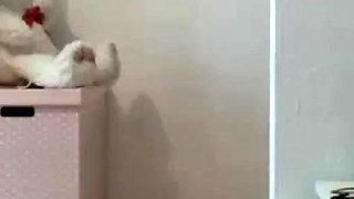Big-Ass Brunette Plays with Toys on Webcam