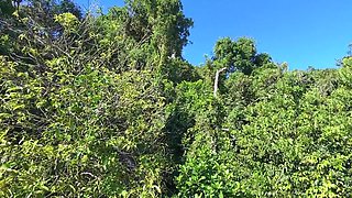 Drone Flagra Casal Transando Na Trilha Do Morro Itacolomi Em Gravatai - Dinni Gata