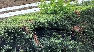 Cute Japanese teen blowjob