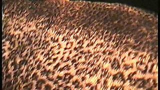 Dont Watch This Retro MILF Fuck